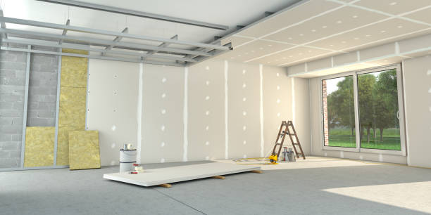 Best Best Insulation Companies  in Canton, MS