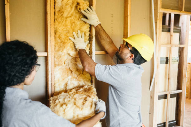 Best Insulation for New Construction  in Canton, MS