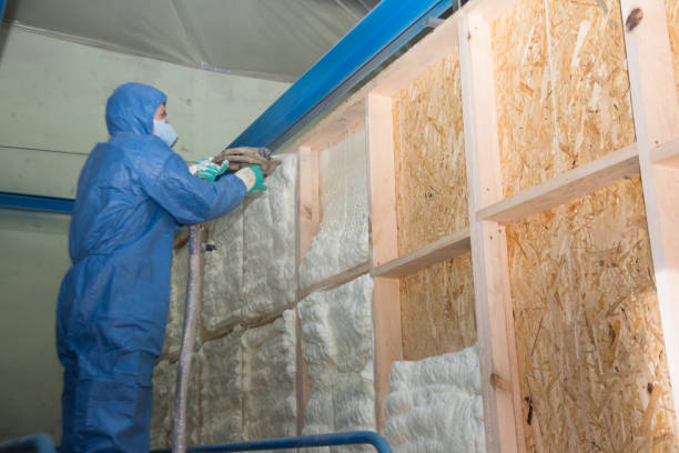 Best Wall Insulation Contractor  in Canton, MS